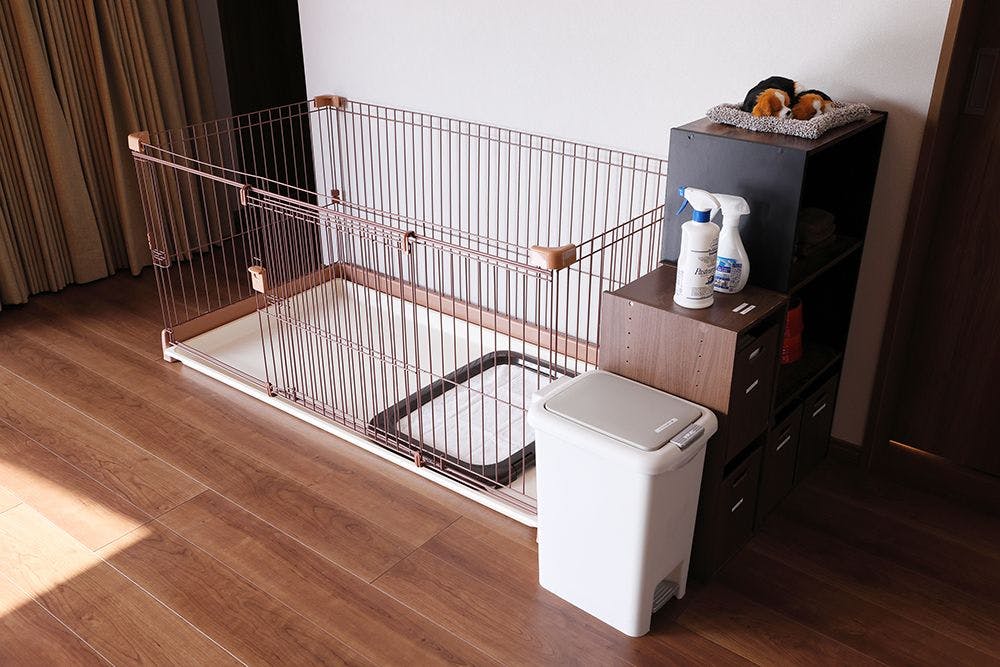 SUNSET DOG VILLAGE Awaji Island