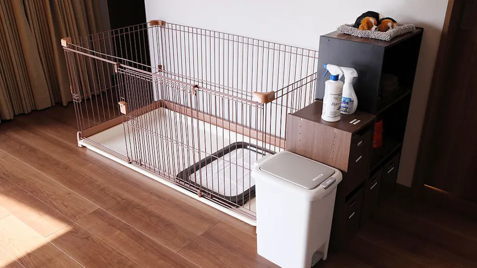 SUNSET DOG VILLAGE Awaji Island