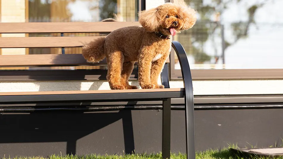 SUNSET DOG VILLAGE Awaji Island