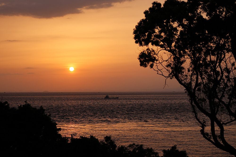 SUNSET DOG VILLAGE 淡路島