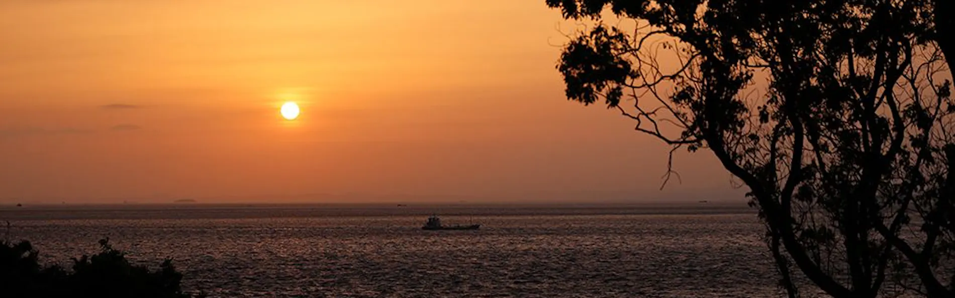 SUNSET DOG VILLAGE 淡路島