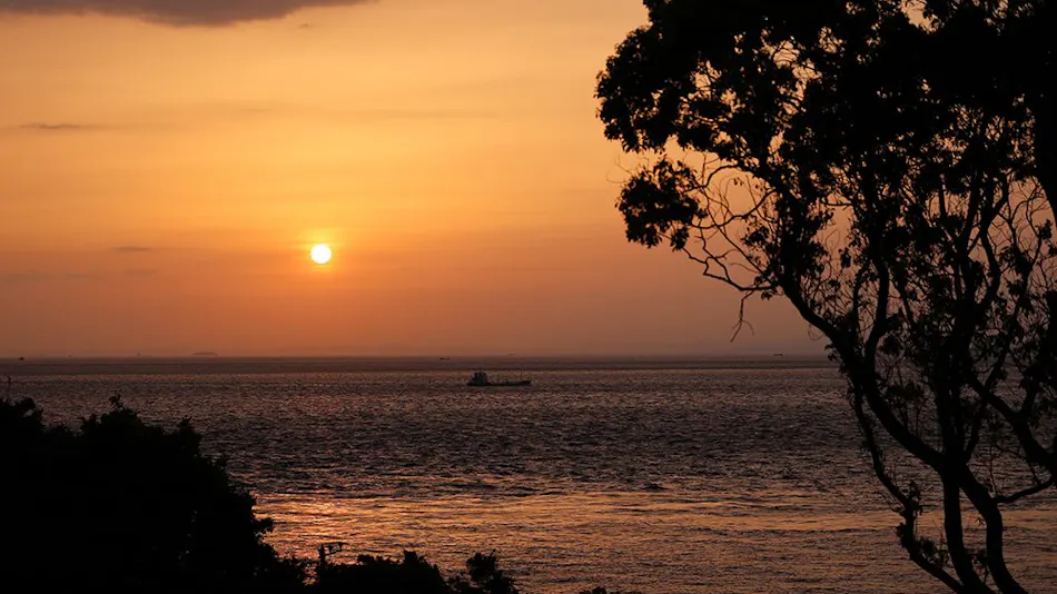 SUNSET DOG VILLAGE Awaji Island