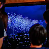 熱海海上花火大会をお宿から