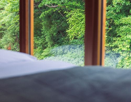 Forest Sideベッドサイドからの眺め。