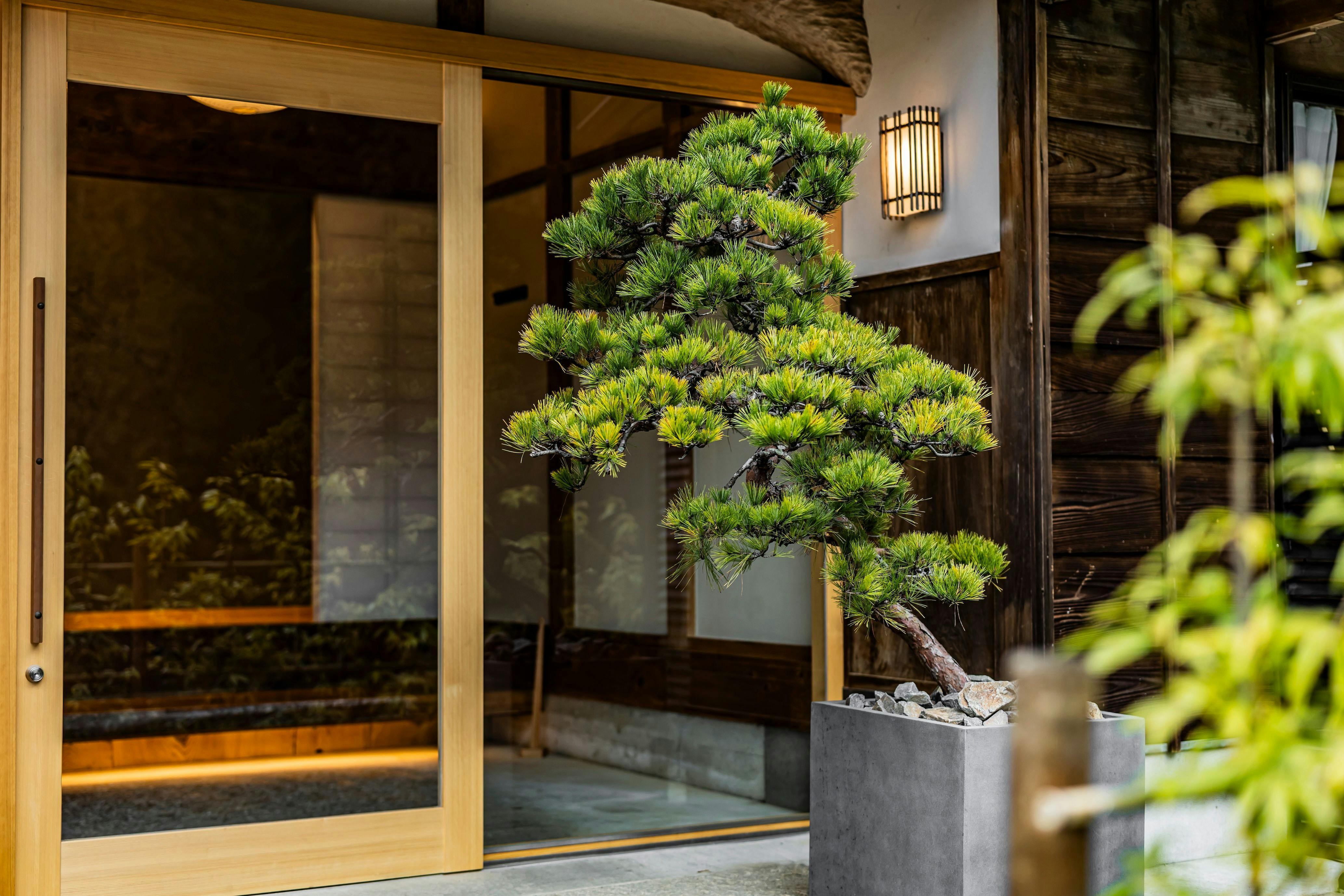 B&B ITADAKI