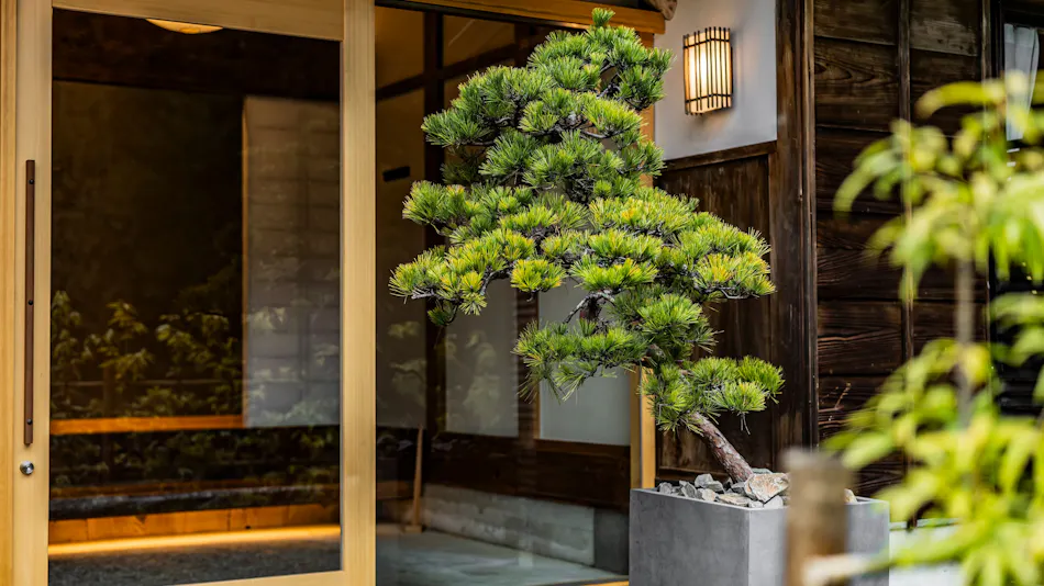 B&B ITADAKI