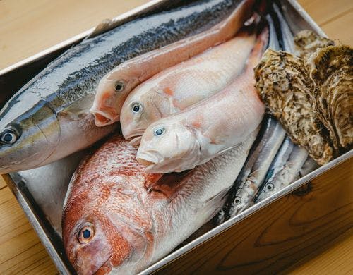 夕食プラン
