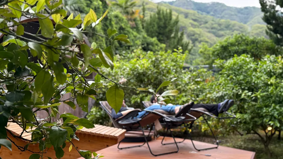Farm and Bed SETODA