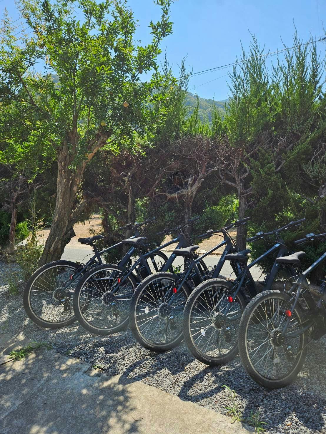 電動自転車レンタル