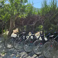 電動自転車レンタル