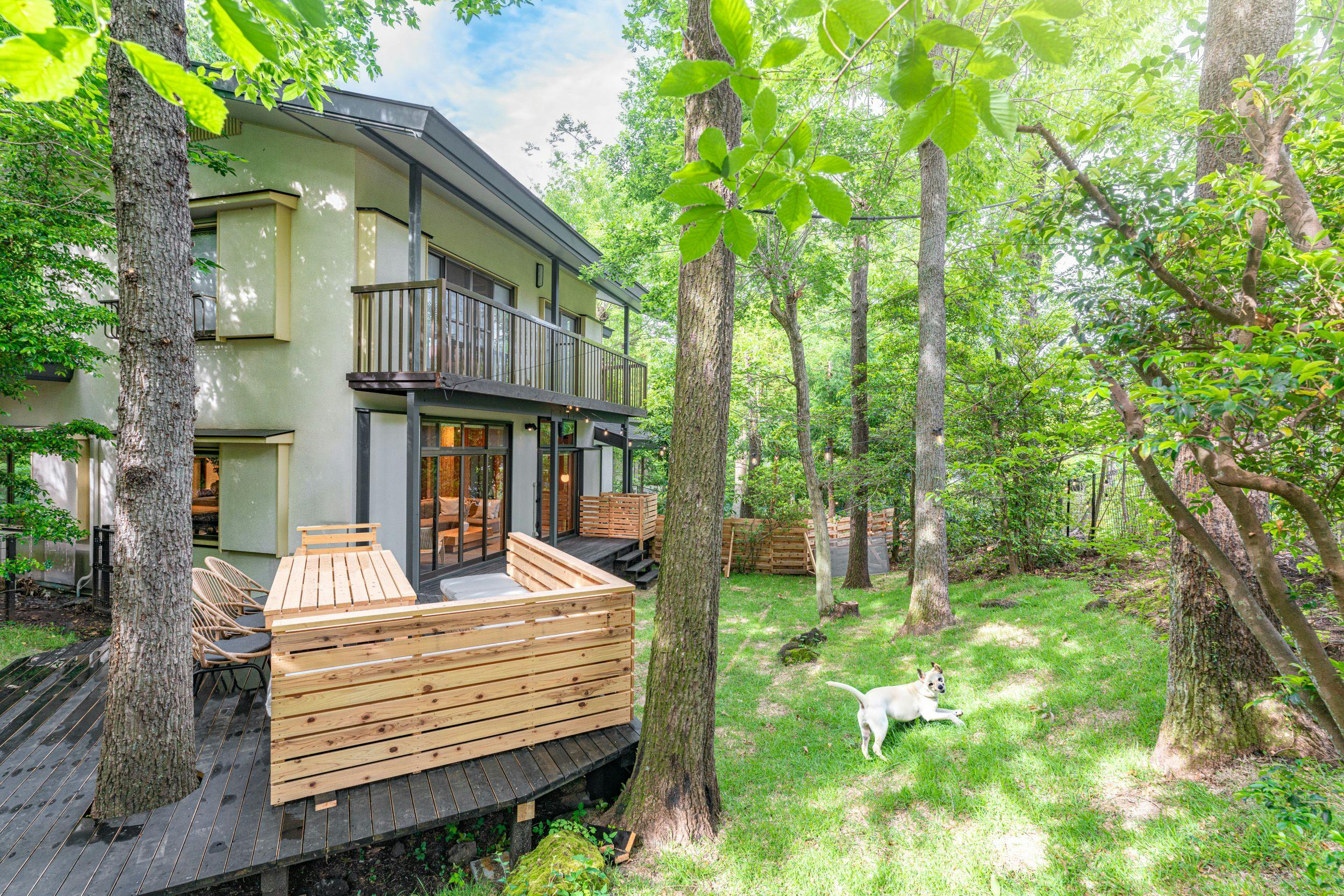 附有人工草坪寬敞狗狗跑道的露台