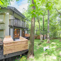 附有人工草坪寬敞狗狗跑道的露台