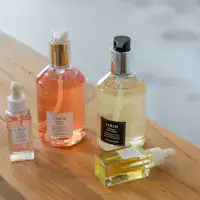 สิ่งอำนวยความสะดวกบนรถบัส Lirio