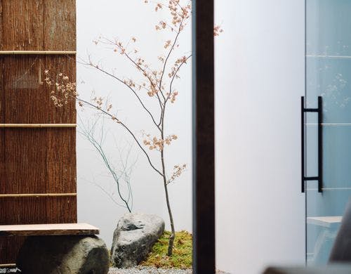 コンテンポラリーな庭