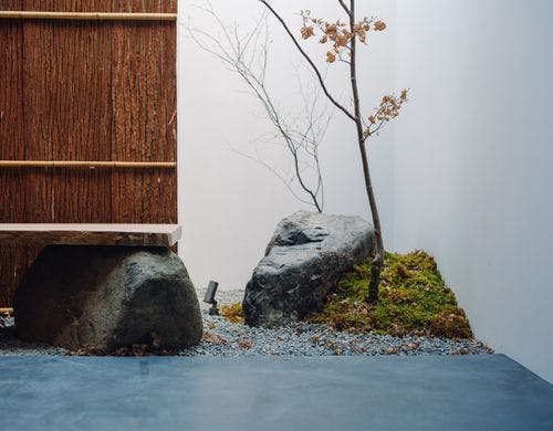 コンテンポラリーな庭