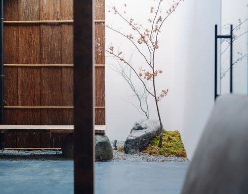 コンテンポラリーな庭