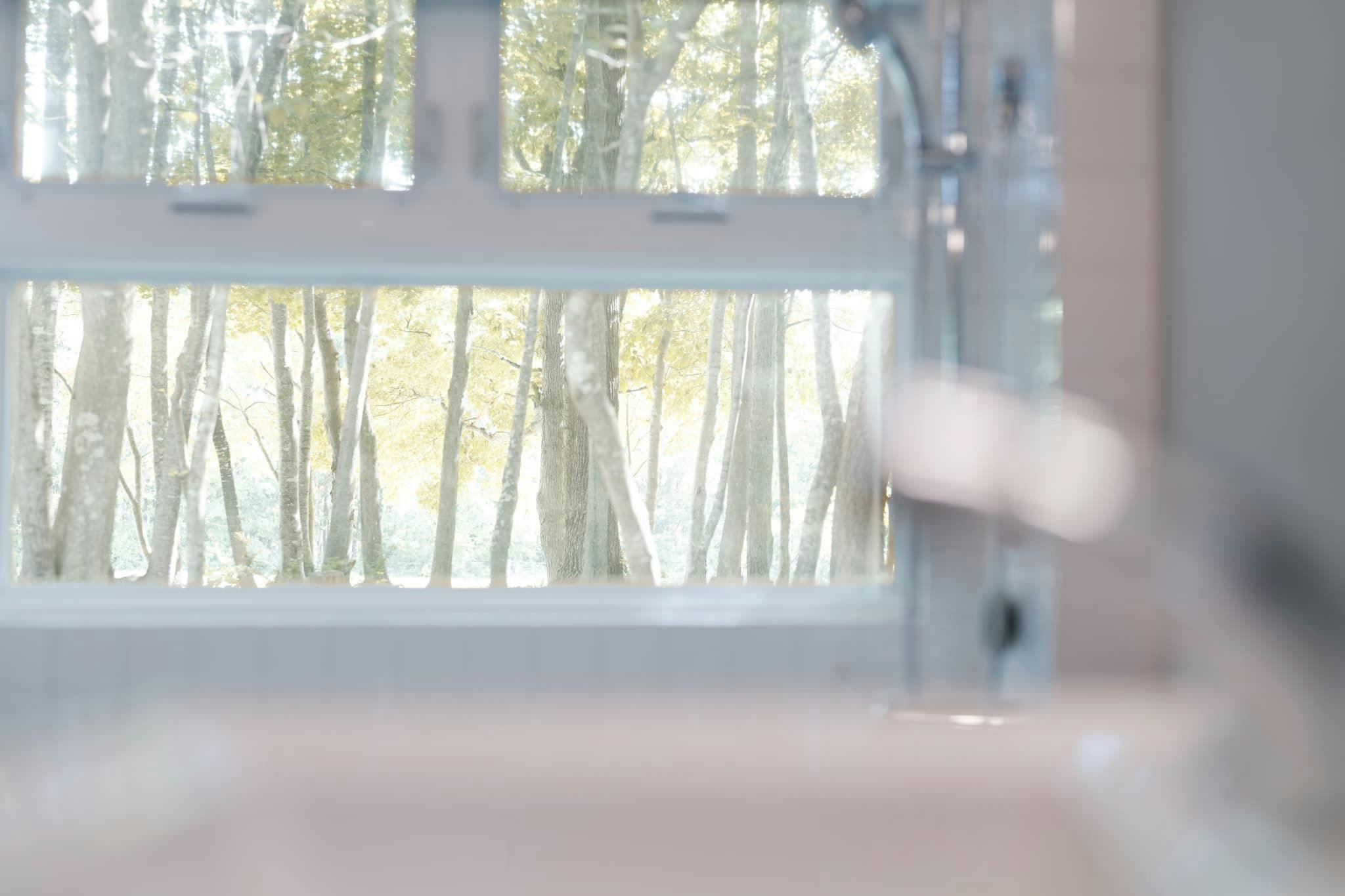 森の中の静かなひと時を