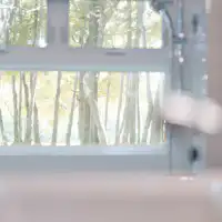 森の中の静かなひと時を