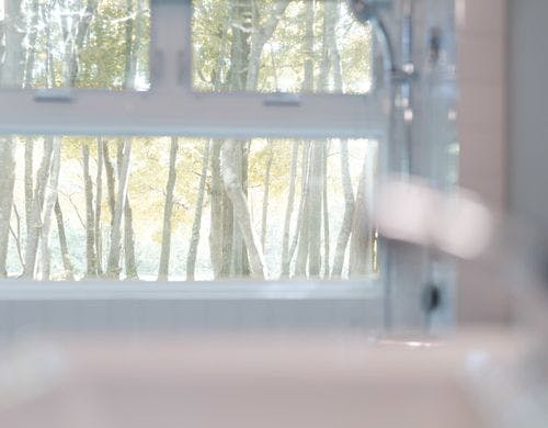 森の中の静かなひと時を