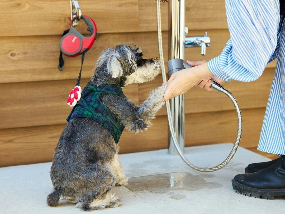 Dog Friendly Cottage