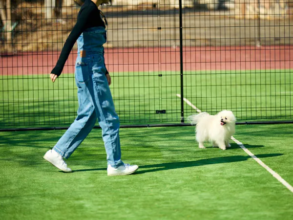 DOG PARK