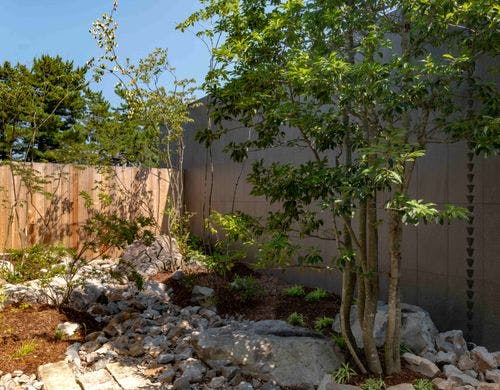 【dawn（ドーン）】庭を望む