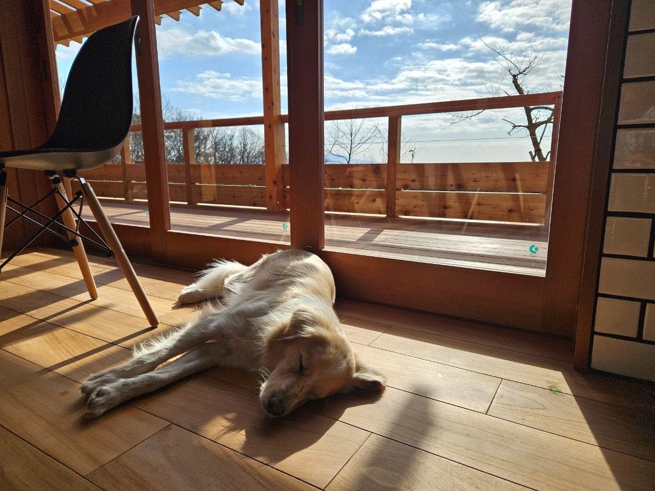 VACANCES.izukogen