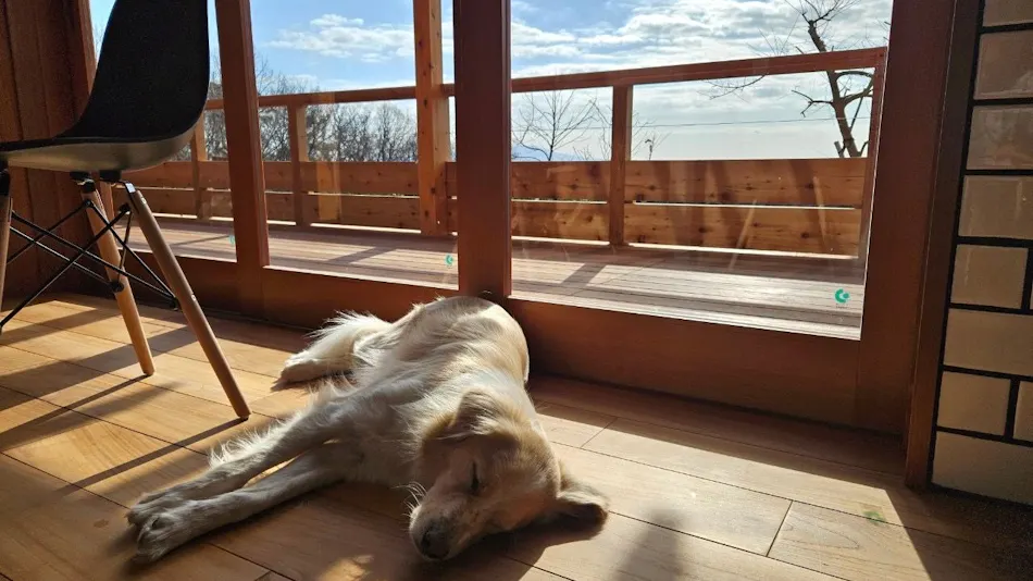 VACANCES. Izukogen