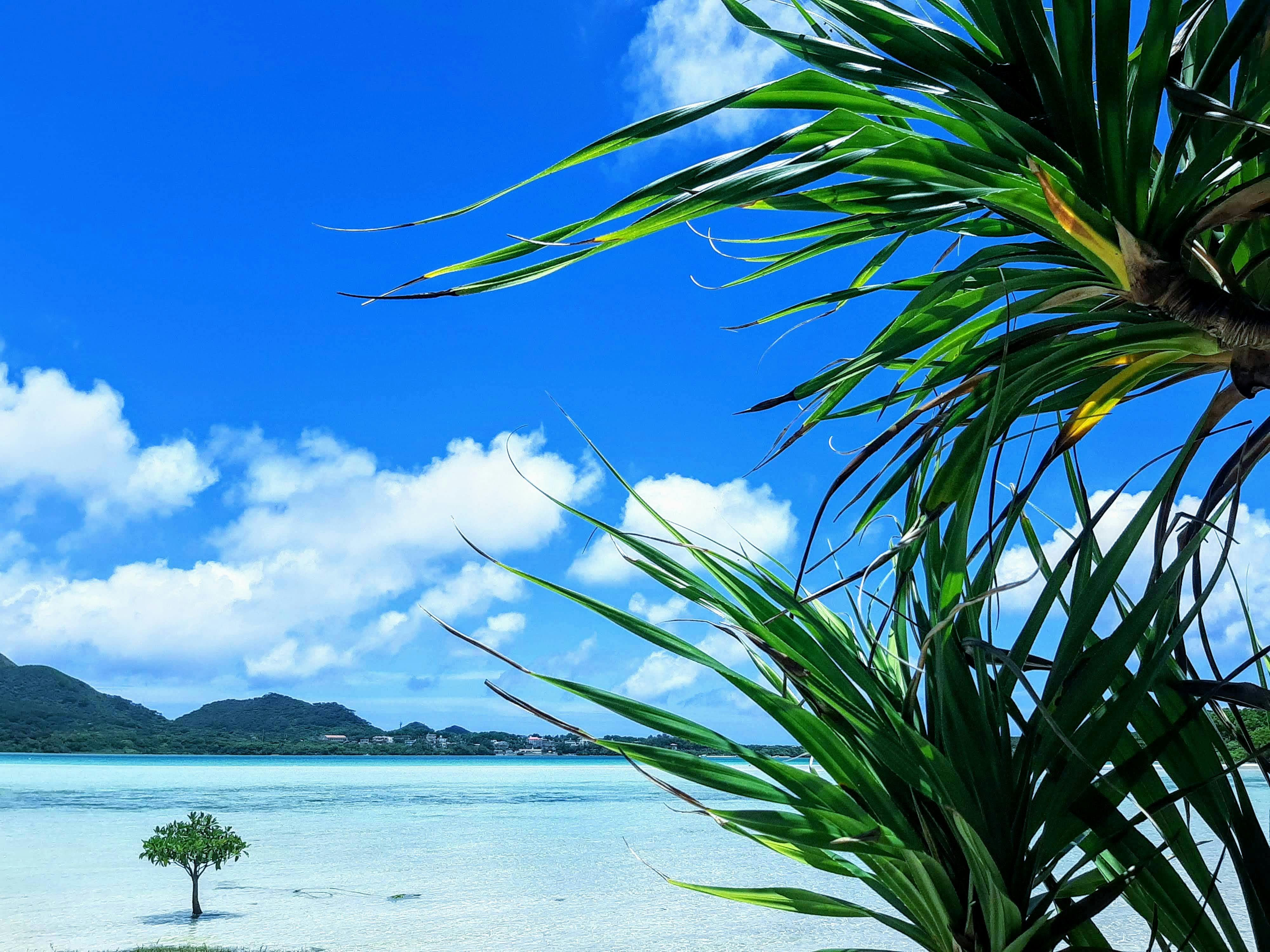 ヴィラから車で10分の川平湾