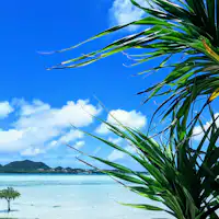 ヴィラから車で10分の川平湾