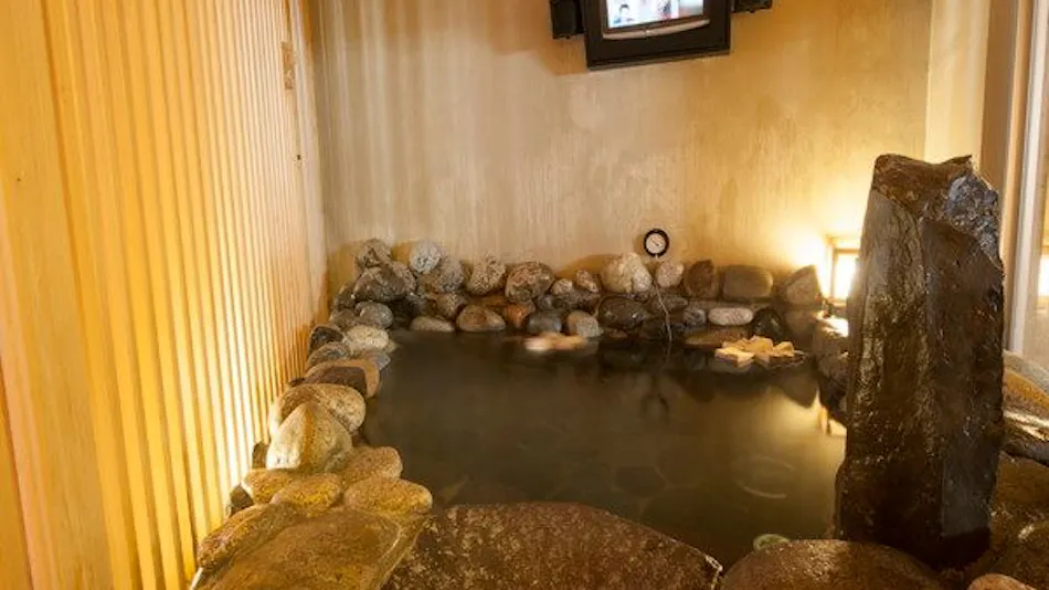 Natural Hot Spring Keyaki no Yu Dormy Inn Tsu