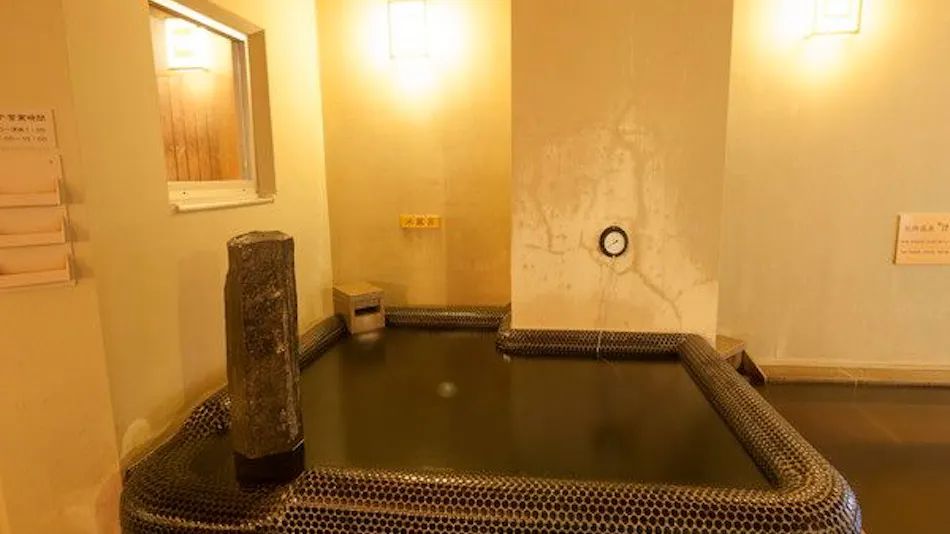 Natural Hot Spring Keyaki no Yu Dormy Inn Tsu