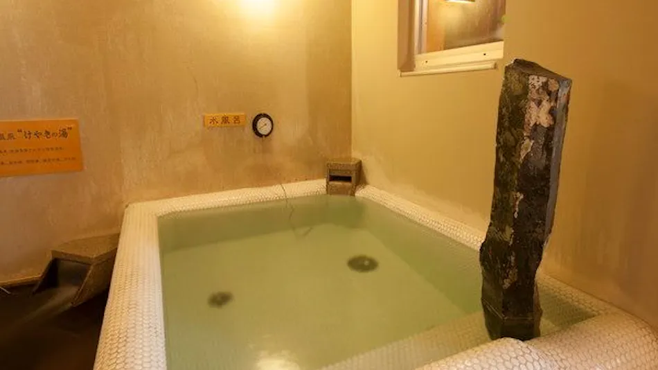 Natural Hot Spring Keyaki no Yu Dormy Inn Tsu