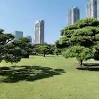 เดินเพียง 5 นาทีจากโรงแรม สวนฮามาริคิว