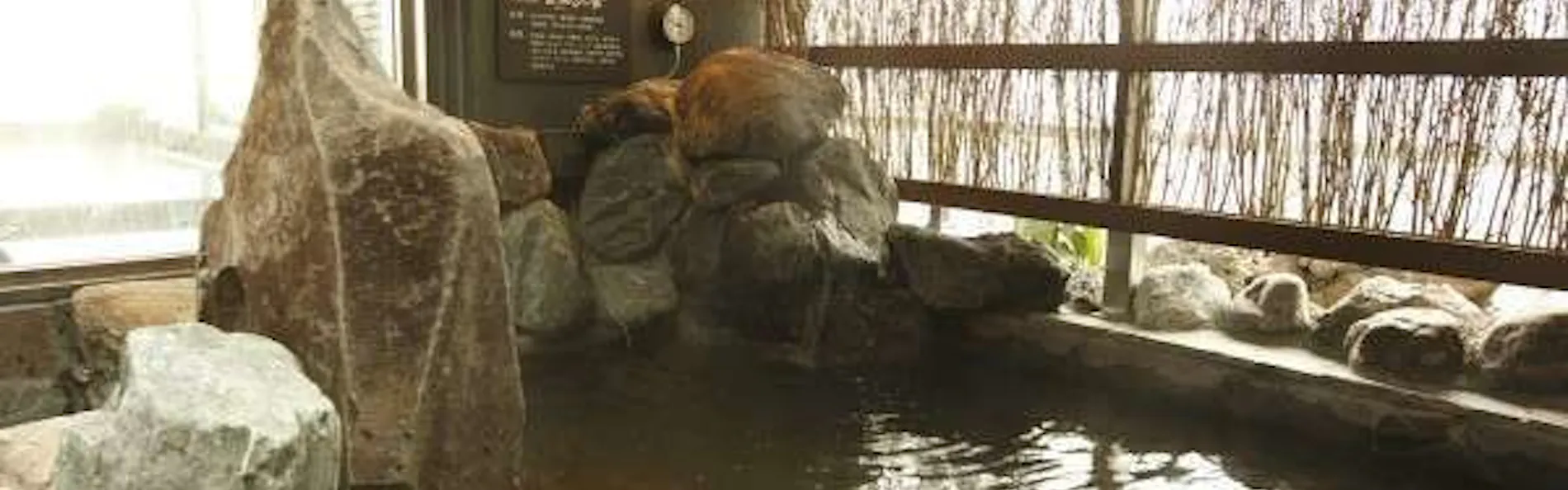 天然温泉 富嶽の湯 ドーミーイン三島