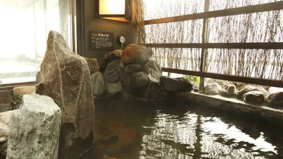 Natural Hot Spring Fujinoyu Dormy Inn Mishima