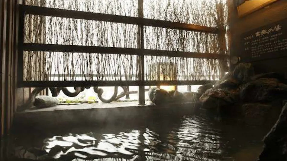 Natural Hot Spring Fujinoyu Dormy Inn Mishima