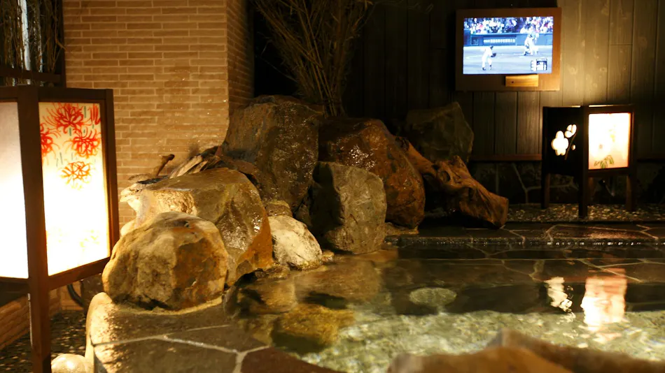 Natural Hot Spring Kishu no Yu Dormy Inn PREMIUM Wakayama