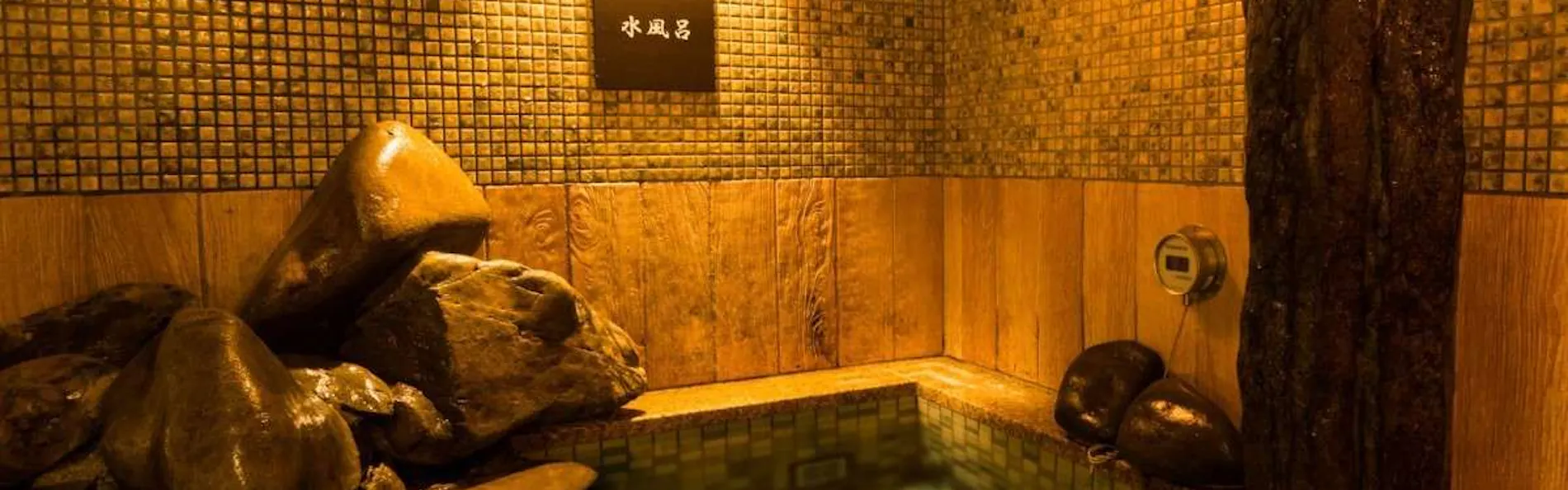 天然温泉 紀州の湯 ドーミーインPREMIUM和歌山