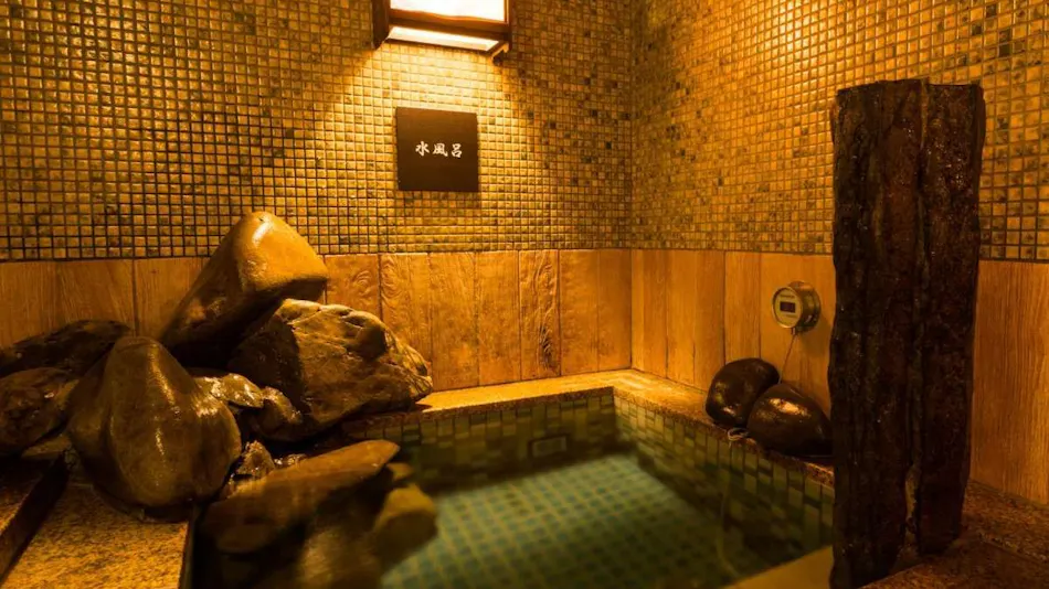 Natural Hot Spring Kishu no Yu Dormy Inn PREMIUM Wakayama