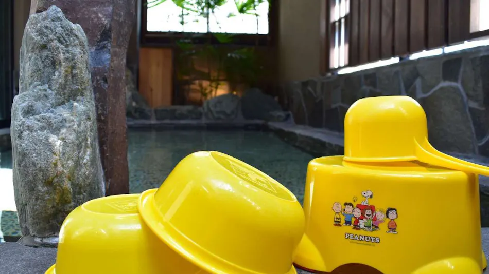 Natural Hot Spring Kishu no Yu Dormy Inn PREMIUM Wakayama