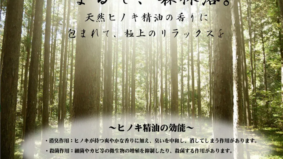 Natural Hot Spring Kishu no Yu Dormy Inn PREMIUM Wakayama