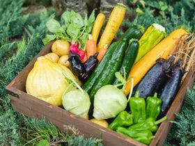 福山オリエンタルホテル