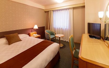 【素泊り】松山東急REIホテルオリジナル　インターネット特別料金　スタンダードプラン