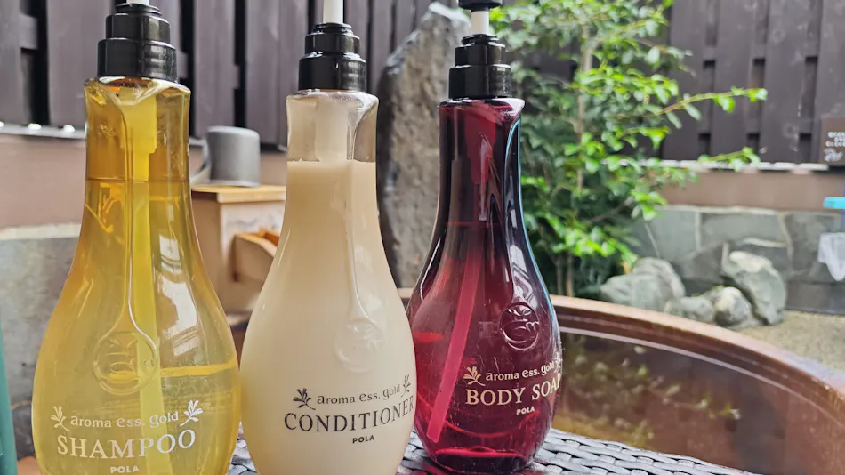 Natural Hot Spring Shouun no Yu Dormy Inn Kofu Marunouchi