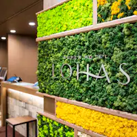 デザイン性に優れたスカンディアモス!