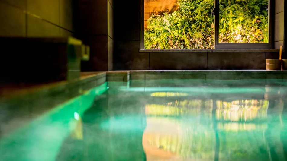 Natural Hot Spring Tokugawa & Taka-gari no Yu Super Hotel Premier Musashi-Kosugi Station Front