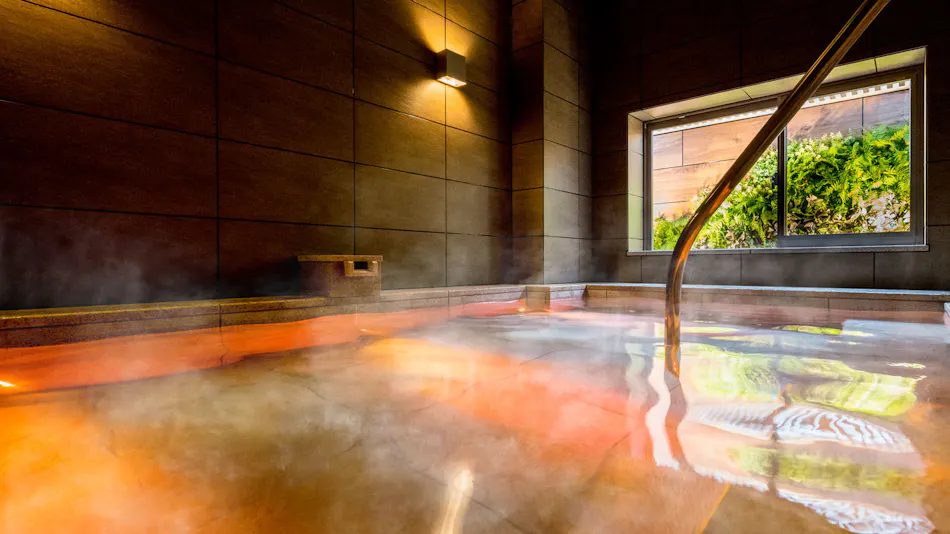 Natural Hot Spring Tokugawa & Taka-gari no Yu Super Hotel Premier Musashi-Kosugi Station Front