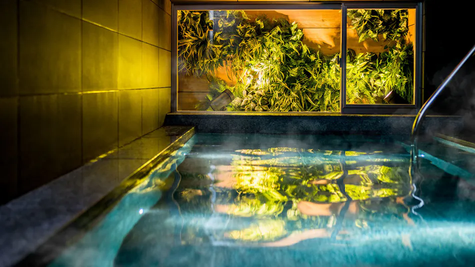 Natural Hot Spring Tokugawa & Taka-gari no Yu Super Hotel Premier Musashi-Kosugi Station Front