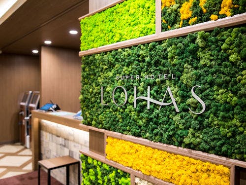 デザイン性に優れたスカンディアモス！